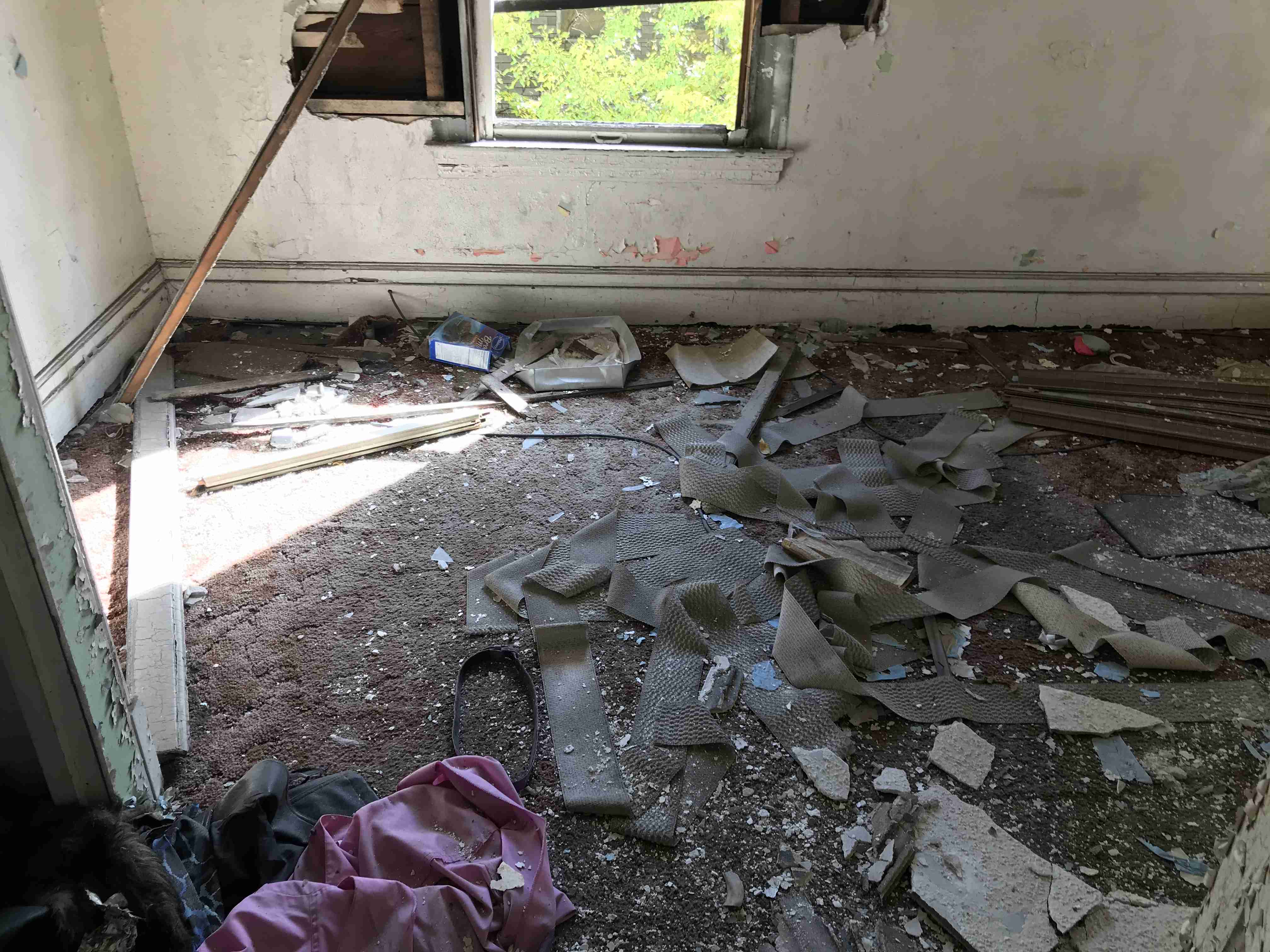 Photo Oct 13, 1 58 03 PM.jpg